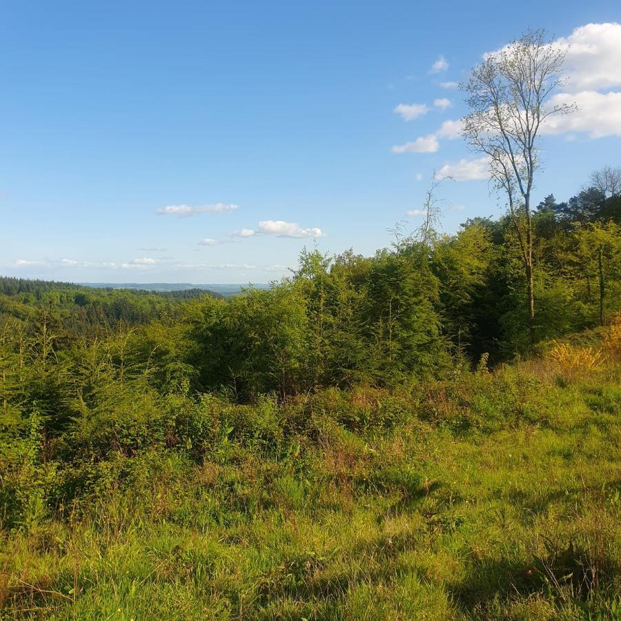 Forest Cedar Lodge, Forest Of Dean Cinderford Buitenkant foto